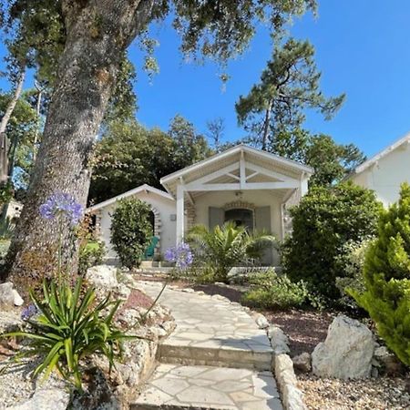 Adorable Petite Maison A 400M De La Mer Villa Сен-Жорж-дьо-Дидон Екстериор снимка